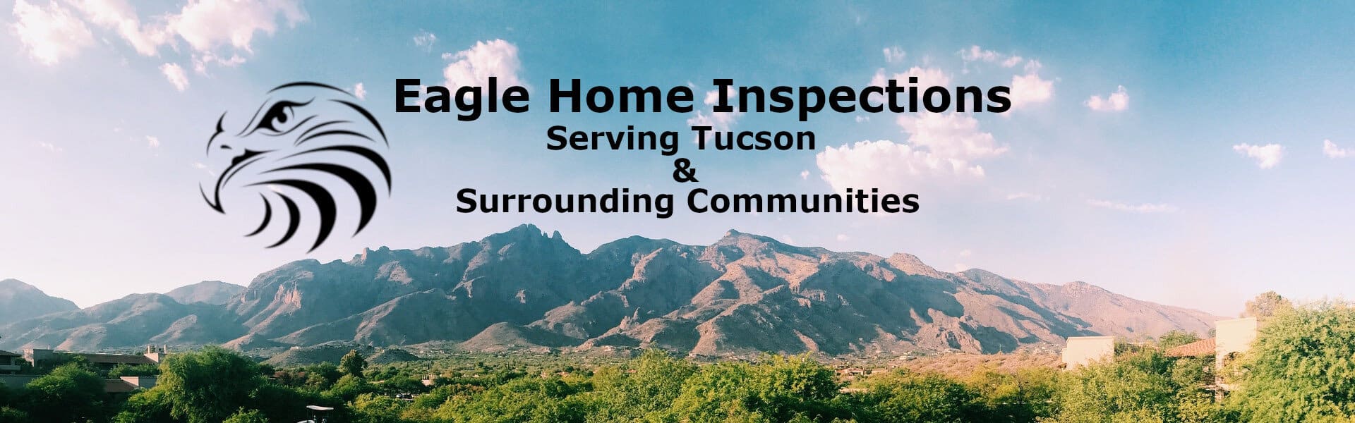 224fdc35-3809-4919-8fa3-ab834efa999b - Eagle Home Inspections LLC - Eagle Home Inspections LLC Eagle Home Inspections Home